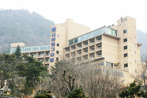 신양개발 이미지